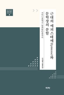 근대의 에피스테메와 문학장의 분할