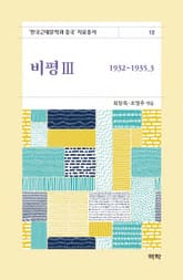 비평3(한국근대문학과 중국 자료총서12) 표지 이미지