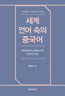 세계 언어 속의 중국어