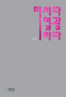 미치다 열광하다