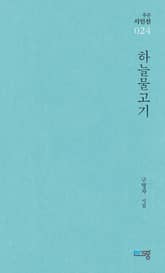 하늘물고기 표지 이미지