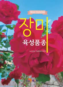 장미 육성품종