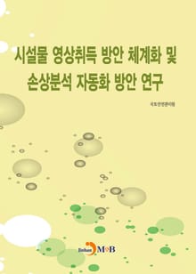 시설물 영상취득 방안 체계화 및 손상분석 자동화 방안 연구