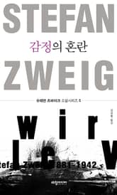 감정의 혼란 표지 이미지