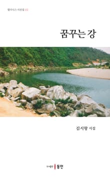 꿈꾸는 강