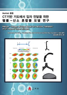 CT기반 기도에서 입자 전달을 위한 헬륨-산소 혼합물 모델 연구 : Matlab 활용