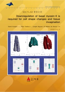 Downregulation of basal myosin-II is required for cell shape changes and tissue invagination