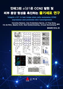 인테그린 α3β1은 CCN2 발현 및 피부 종양 형성을 촉진하는 줄기세포 연구