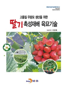 고품질 우량묘 생산을 위한 딸기 촉성재배 육묘기술