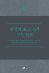 한국어 보조 용언 구성 연구 표지 이미지