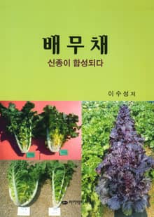 배무채