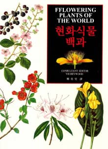 현화식물백과