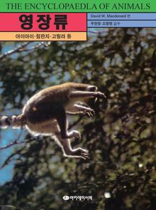 영장류