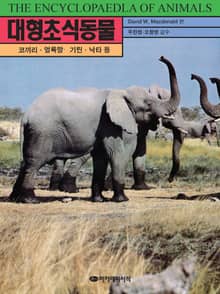 대형초식동물