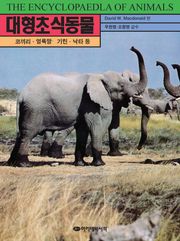 대형초식동물