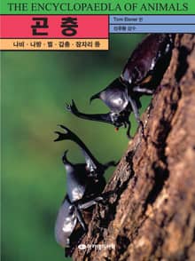 곤충
