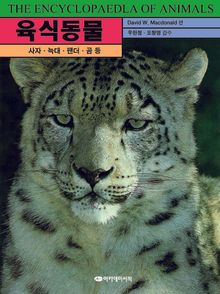 육식동물