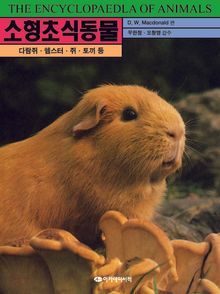 소형초식동물