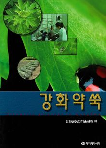 강화약쑥