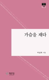 가슴을 재다 표지 이미지