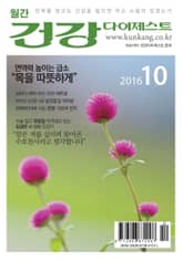 월간 건강다이제스트 2016년 10월호 표지 이미지