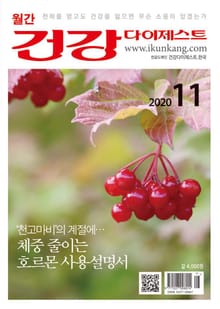 월간 건강다이제스트 2020년 11월호