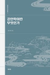 강안학이란 무엇인가 표지 이미지