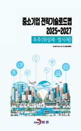 (우주(위성체, 발사체)) 중소기업 전략기술로드맵 2025년부터 2027년까지 표지 이미지