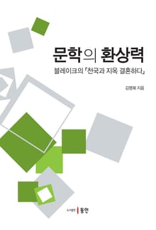문학의 환상력
