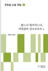 붙느냐 떨어지느냐, 여대생과 밍크코우트 외 - 주요섭 소설 전집 3 표지 이미지