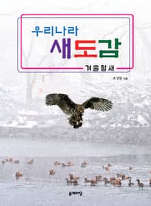 우리나라 새도감 겨울철새