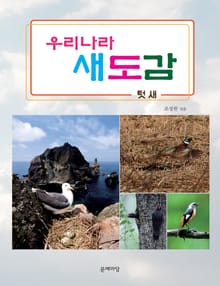 우리나라 새도감 텃새