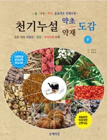 천기누설 약초약재 도감 하