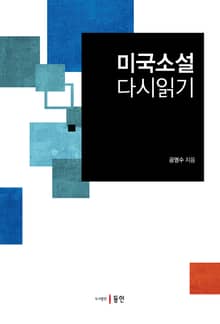 미국소설 다시 읽기
