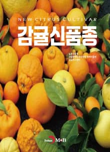 감귤신품종