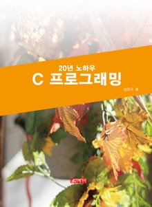 20년 노하우 C프로그래밍