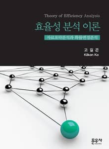 효율성 분석 이론
