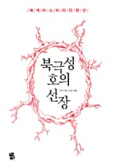 북극성호의 선장 - 세계 미스터리 단편선 표지 이미지