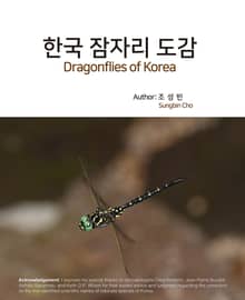 한국 잠자리 도감