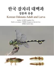 한국 잠자리 대백과