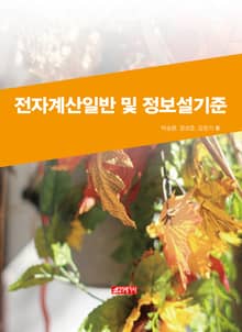 전자계산 일반 및 정보설비기준