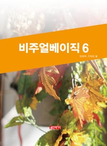 비주얼베이직 6