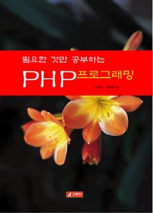 필요한것만 공부하는 PHP프로그래밍