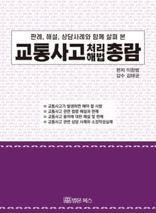 교통사고 처리 해법 총람
