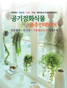 공기정화식물풍수인테리어