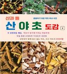 산과들 산야초 도감 하
