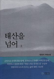 태산을 넘어 (상)