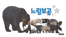 느림보곰