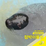 점박이물범