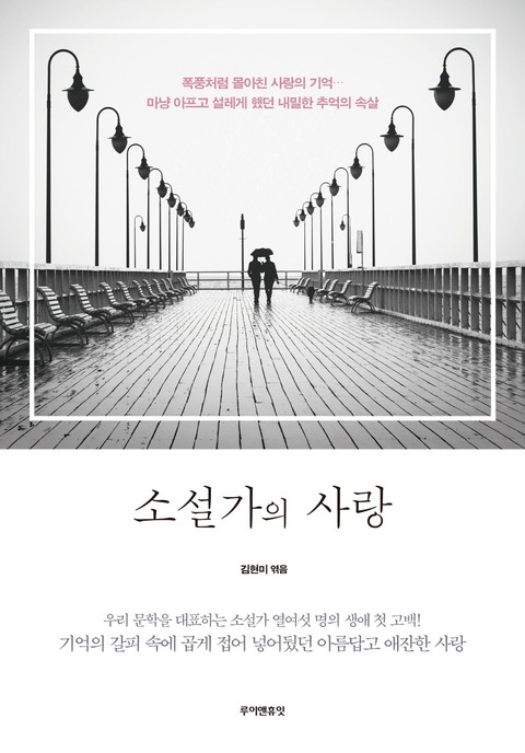 소설가의 사랑 표지 이미지